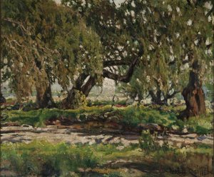 Bordo del boschetto di querce